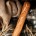 Baguette Equipments