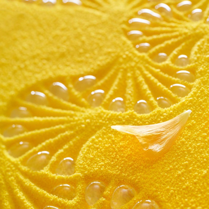 Demarle Scales Silicone Mould 3D Mat Diameter 216.5 Demarle Scales Silicone Mould 3D Mat Diameter 216.5