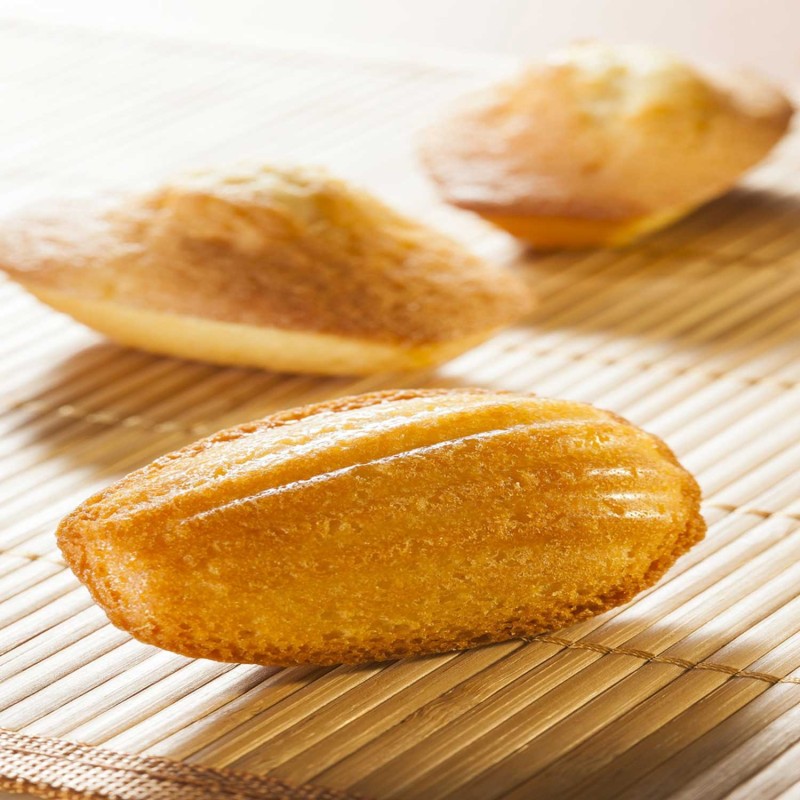 Demarle Mini Madeleine Silicone Mould Flexipan 600x400 Demarle Mini Madeleine Silicone Mould Flexipan 600x400