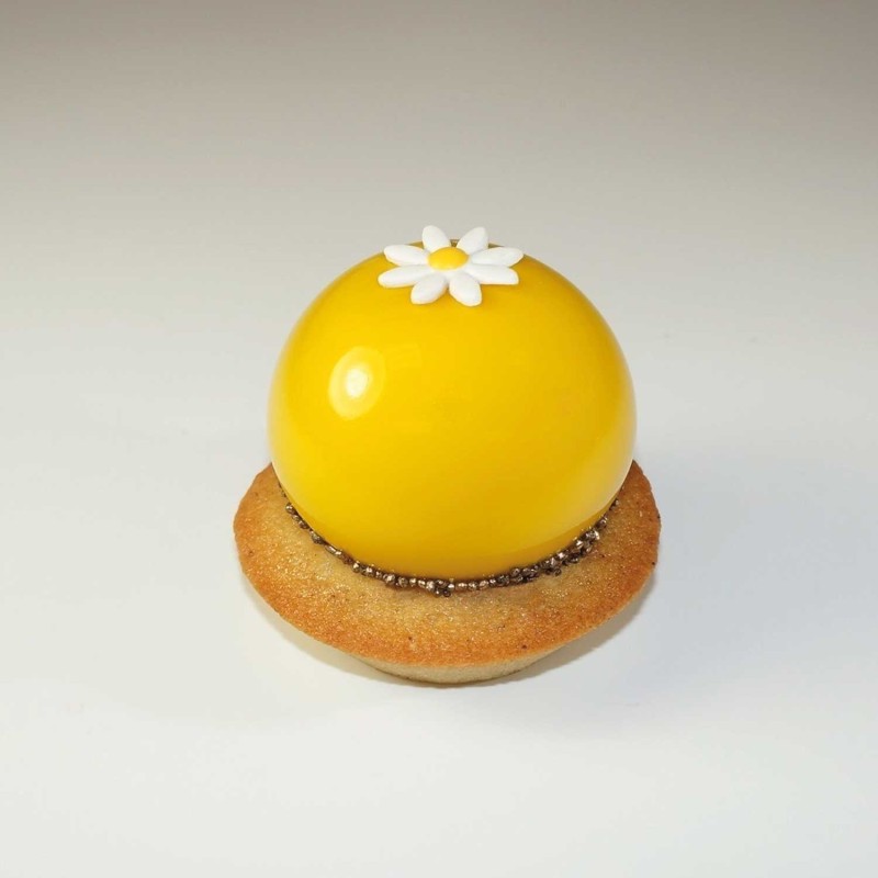 Demarle 3D Sphere Silicone Mould Flexipat 300X200 Demarle 3D Sphere Silicone Mould Flexipat 300X200