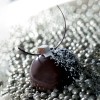 Demarle Half Sphere Silicone Mould Flexipan 600x400 Demarle Half Sphere Silicone Mould Flexipan 600x400